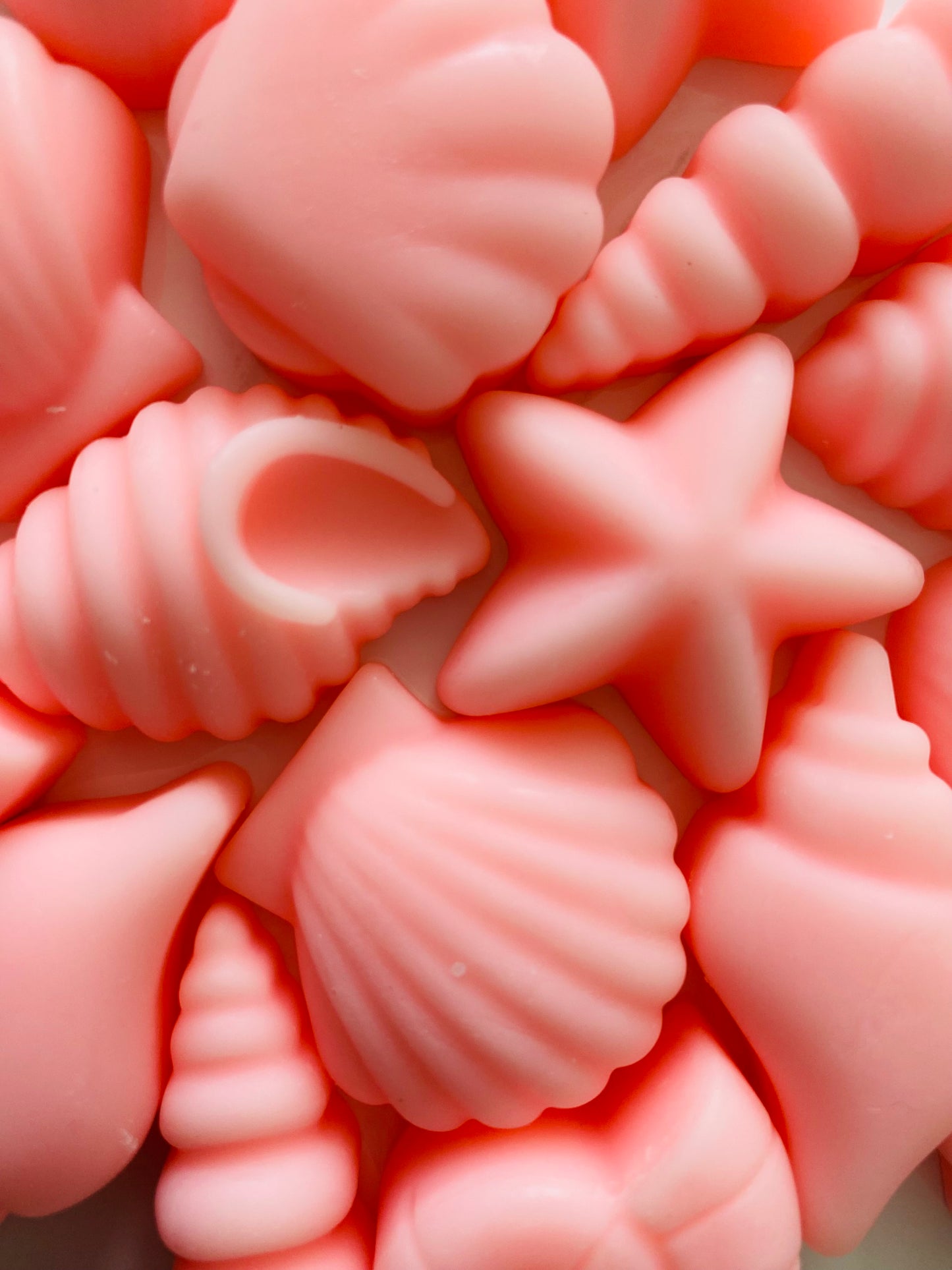 Seashell Soy Wax Melts ~ Egyptian Amber | Highly Scented Long-Lasting & Vegan