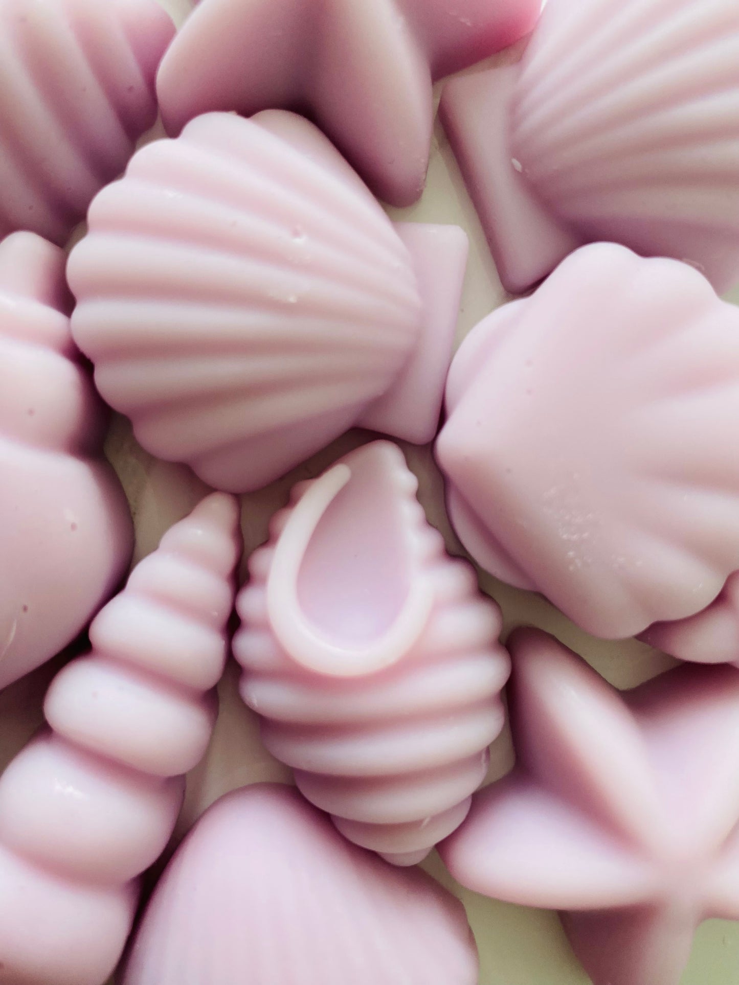 Seashell Soy Wax Melts ~ Honeysuckle & Sandalwood | Highly Scented Long-Lasting & Vegan