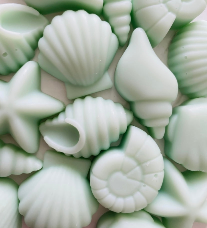 Seashell Soy Wax Melts ~ Baby Powder | Highly Scented Long-Lasting & Vegan