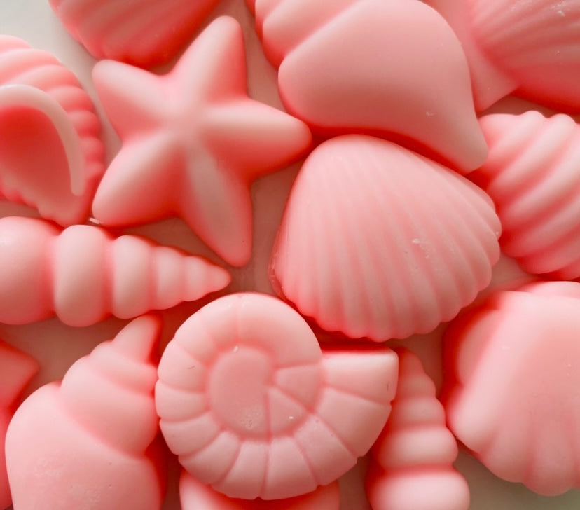 Seashell Soy Wax Melts ~ Angels | Highly Scented Long-Lasting & Vegan