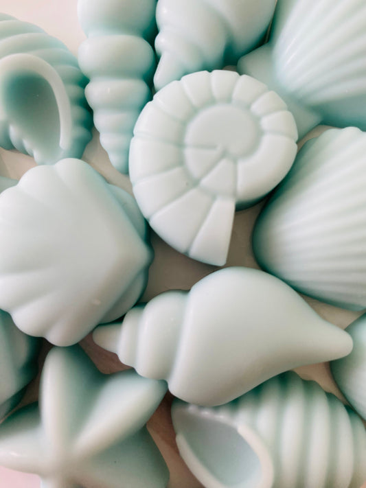 Seashell Soy Wax Melts ~ Fresh Linen | Highly Scented Long-Lasting & Vegan