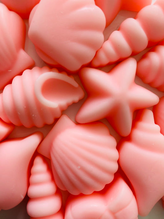Seashell Soy Wax Melts ~ Egyptian Amber | Highly Scented Long-Lasting & Vegan
