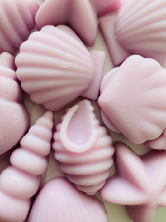 Seashell Soy Wax Melts ~ Honeysuckle & Sandalwood | Highly Scented Long-Lasting & Vegan