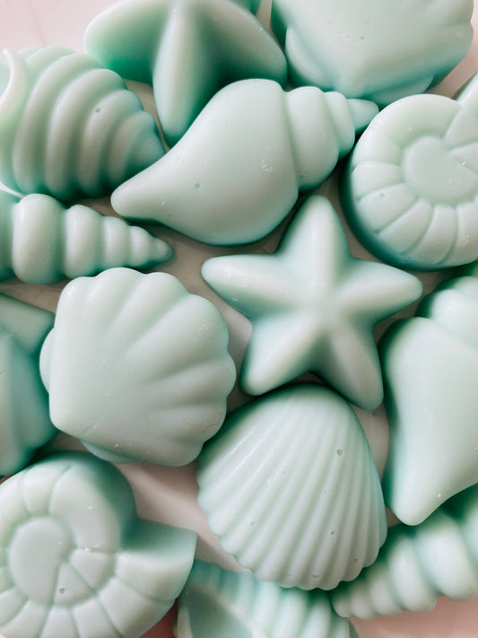 Seashell Soy Wax Melts ~ Spring Awakening | Highly Scented Long-Lasting & Vegan