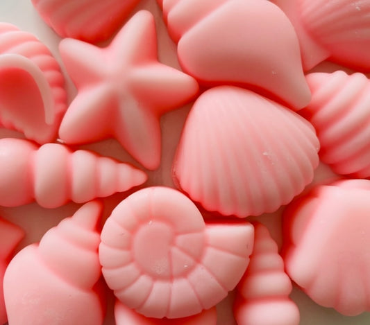 Seashell Soy Wax Melts ~ Angels | Highly Scented Long-Lasting & Vegan